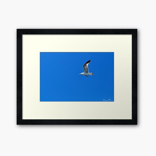 Fly me to the moon Framed Art Print