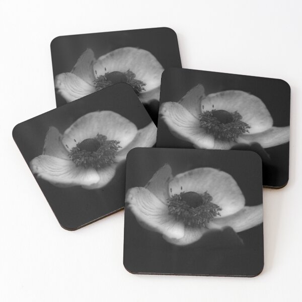 Item preview, A Flower in Black and White designed and sold by rosedew.