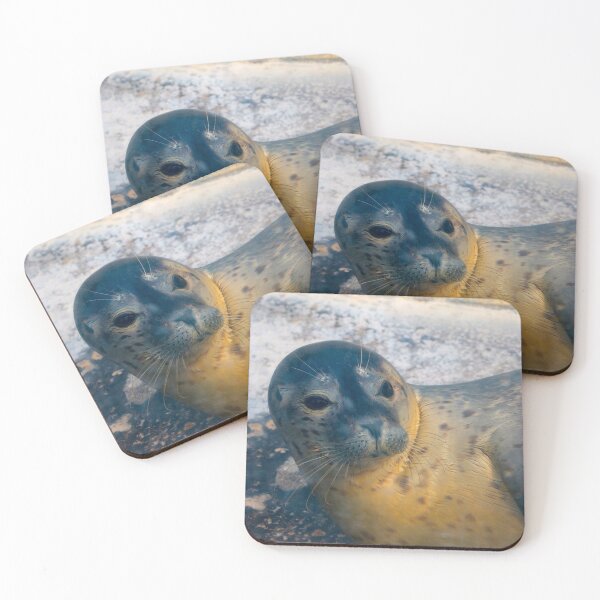 Item preview, Baby Seal designed and sold by sarahfmorris.
