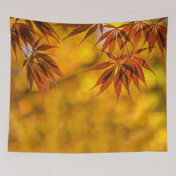 Item preview, Maple in the gold fall designed and sold by LudaNayvelt.
