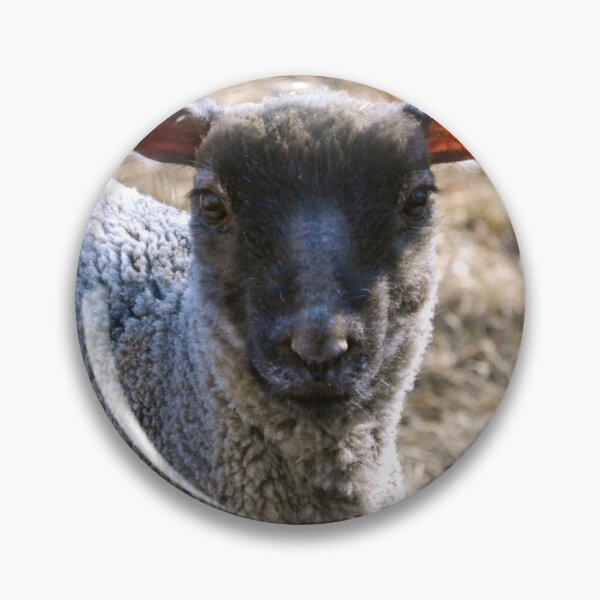 Item preview, Sweet sheep designed and sold by Marie Goursolas.