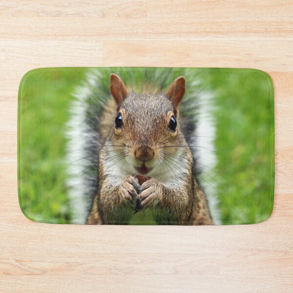 Item preview, Squirrel designed and sold by fourretout.