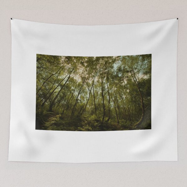 Item preview, Wood Hall - Bowdown Woods designed and sold by Samantha Higgs.