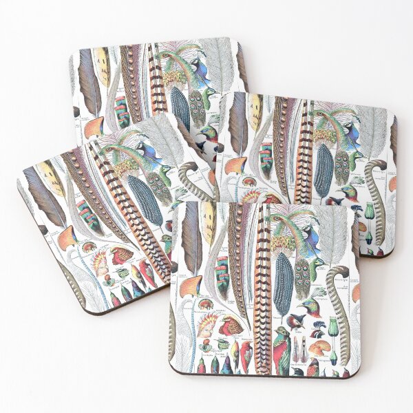 Item preview, COLORFUL BIRD FEATHERS Tropical Birds,Parrots,Peacocks Vintage Animal Drawings designed and sold by BulganLumini.
