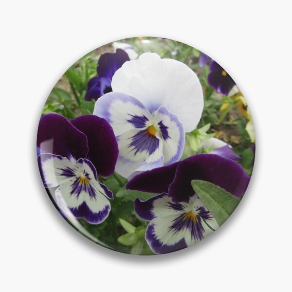 Item preview, violas designed and sold by joshuarainbird.