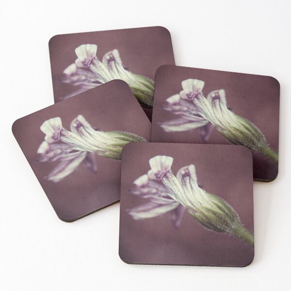 Item preview, Osteospermum Macro designed and sold by hinomaru.