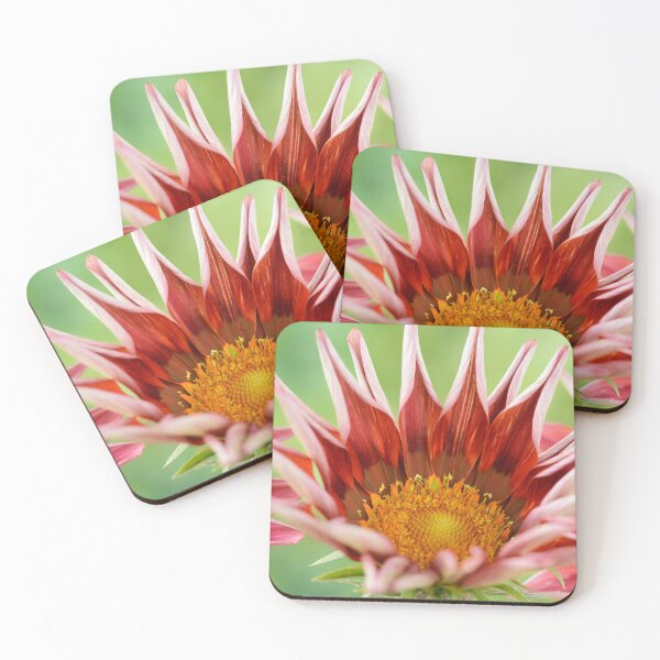 Item preview, Gazania  'Otomi'  Sunbathers Series   designed and sold by Chris Burrows.