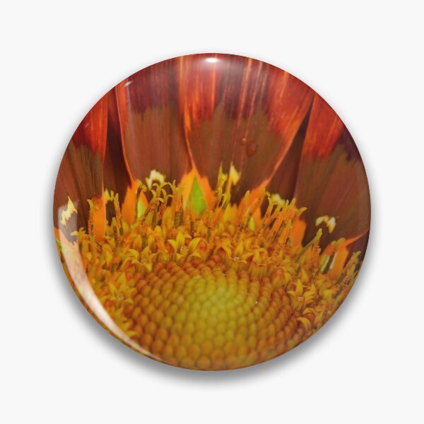Item preview, Gazania  'Otomi'  Sunbathers Series   designed and sold by Chris Burrows.