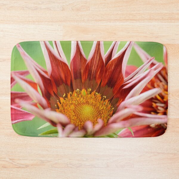 Item preview, Gazania  'Otomi'  Sunbathers Series   designed and sold by Chris Burrows.