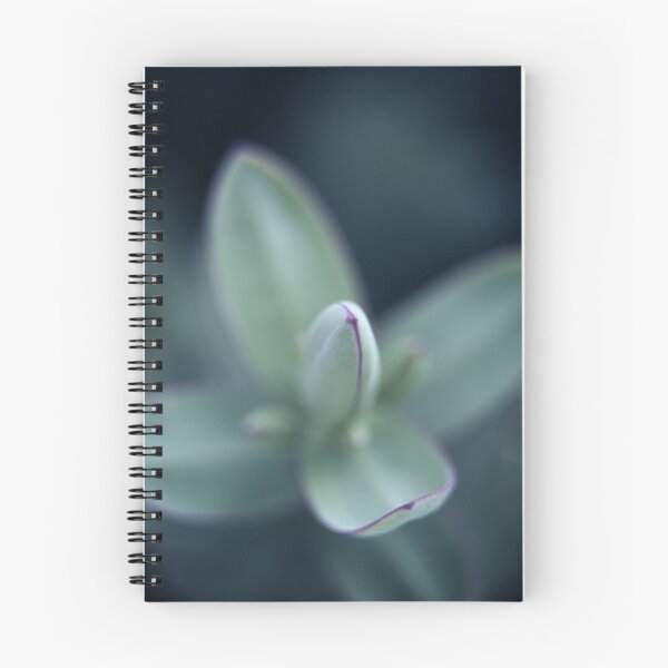 Item preview, Hebe Macro designed and sold by hinomaru.