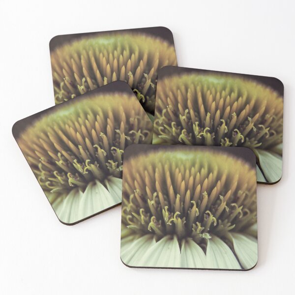 Item preview, Echinacea designed and sold by hinomaru.