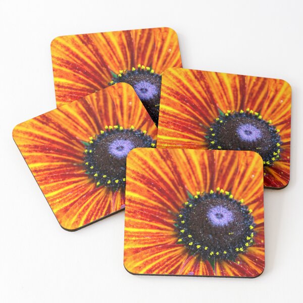 Aperçu de l'œuvre Rudbeckia orange créée et vendue par sarahfmorris.