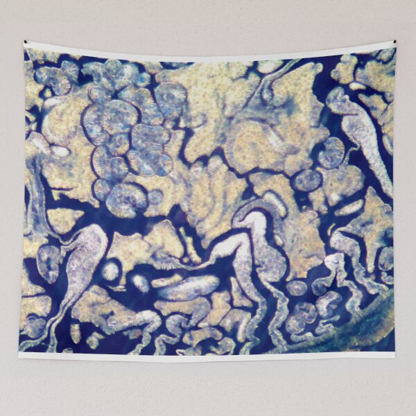 Item preview, Sea Anemone  designed and sold by circa24.