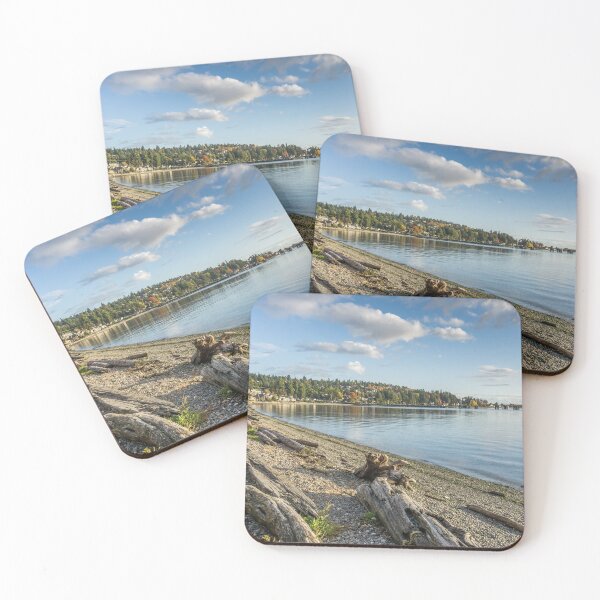 Item preview, West Seattle Ferry Terminal designed and sold by georgecolephoto.
