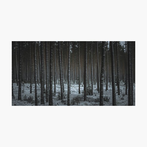 Item preview, Snowy forest designed and sold by urbonasphotos.