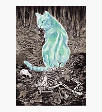 Ghost Cat Prowls Forever Photographic Print