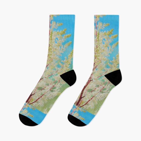 Item preview, Astilbe  'Rock and Roll'  False goat's beard  designed and sold by Chris Burrows.