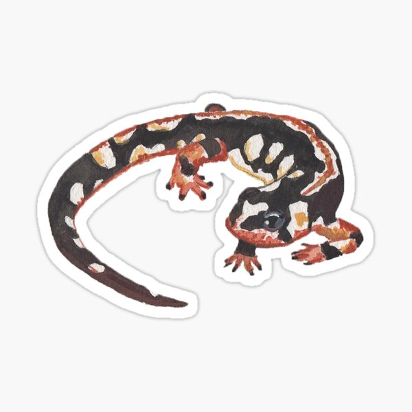 &ldquo;Endangered Newt - Luristan Newt&rdquo; Sticker for Sale by juliekhansard