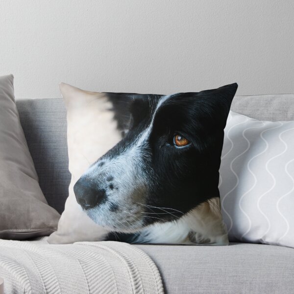 Item preview, Paddy designed and sold by sarahfmorris.