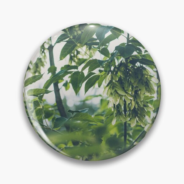 Item preview, Tree seeds  designed and sold by urbonasphotos.