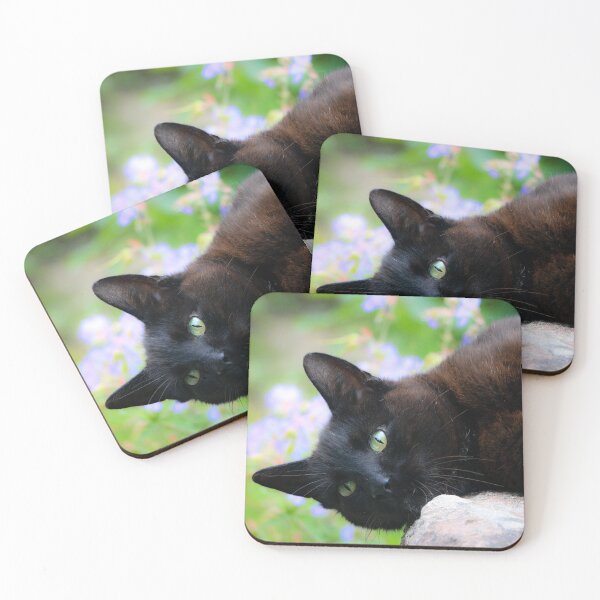 Item preview, Black Cat designed and sold by sarahfmorris.