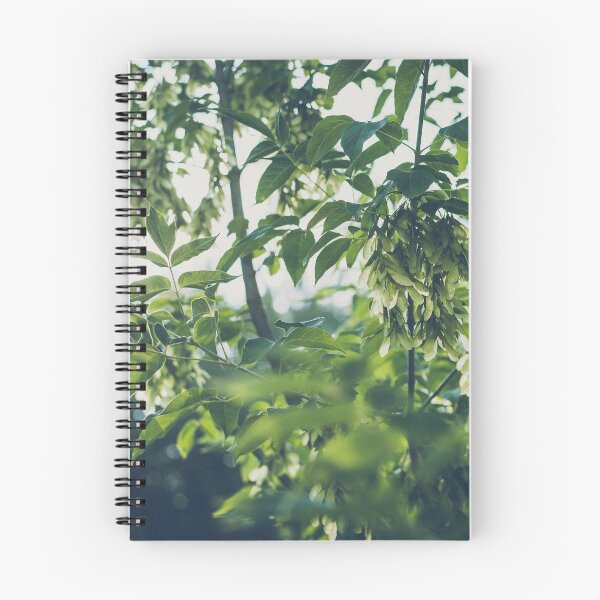Item preview, Tree seeds  designed and sold by urbonasphotos.