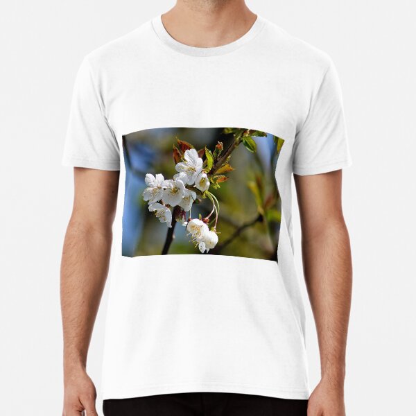 Each day provides its own gifts Premium T-Shirt