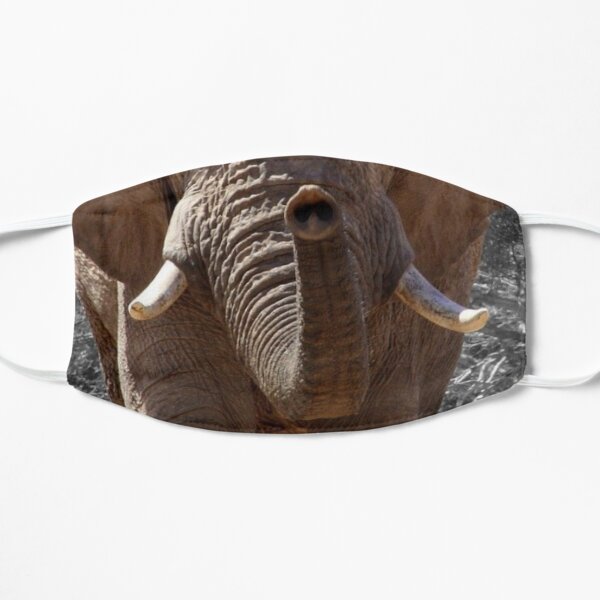 Elephant muzzle fun face mask Flat Mask