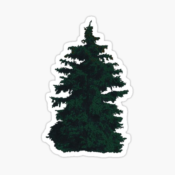 Pine Tree Sticker