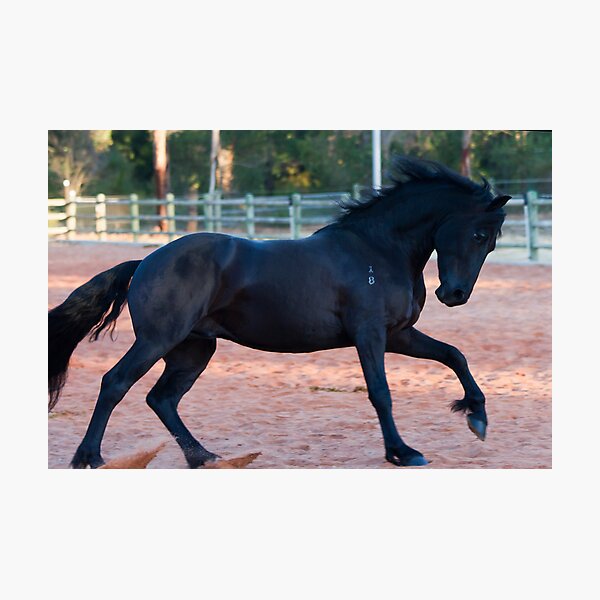 Night Rider Photographic Print