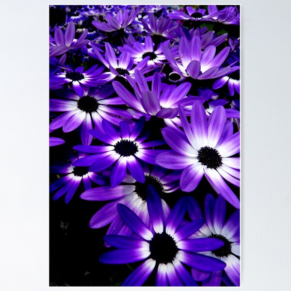 Item preview, Night Lights... designed and sold by LindaR.
