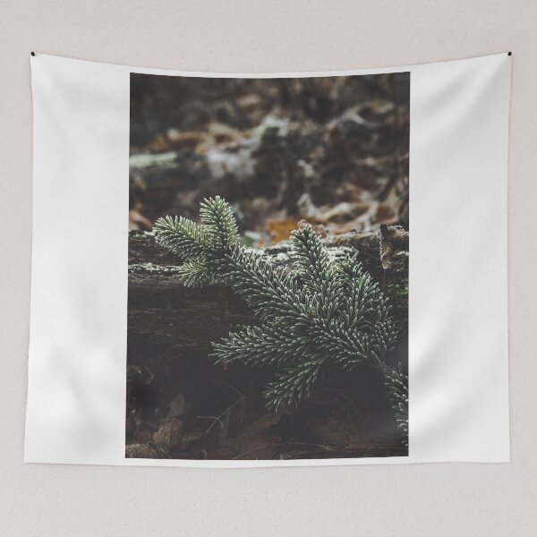 Item preview, Frozen branch of fir tree designed and sold by urbonasphotos.