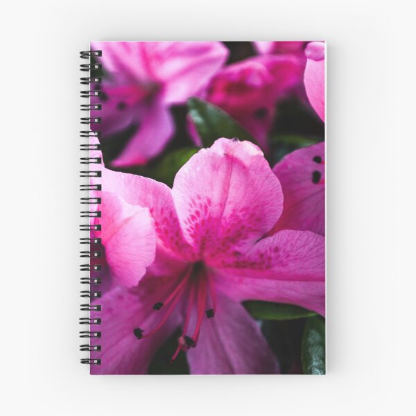 Item preview, Spring Pink designed and sold by Sherri's Stuff.
