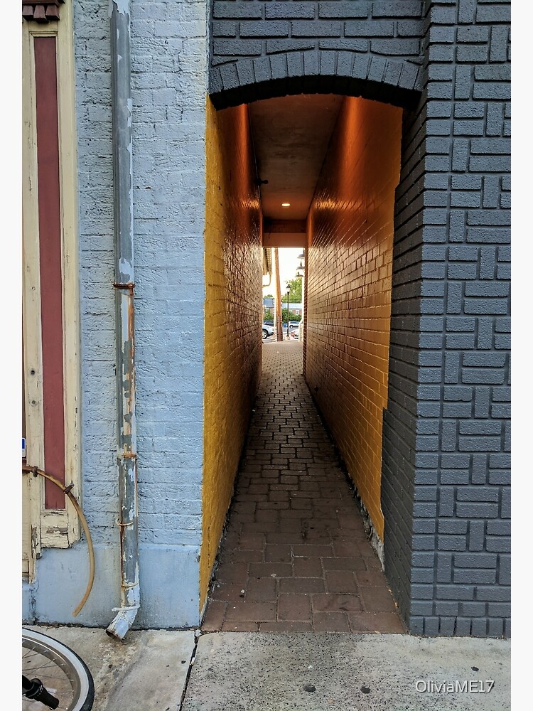 Alleyway Aesthetic Postcard By Oliviame17 Redbubble