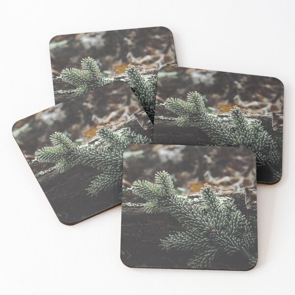 Item preview, Frozen branch of fir tree designed and sold by urbonasphotos.