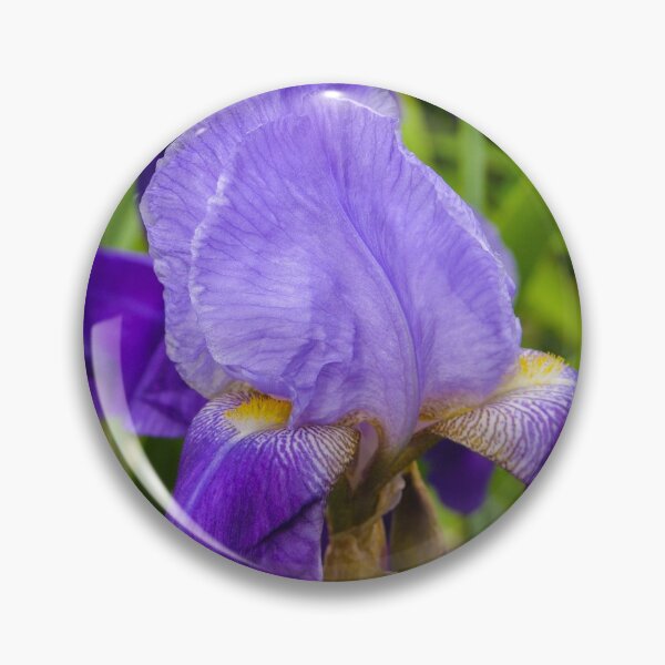 Artikelvorschau, Blue Flag Iris #2 entworfen und verkauft von circa24.