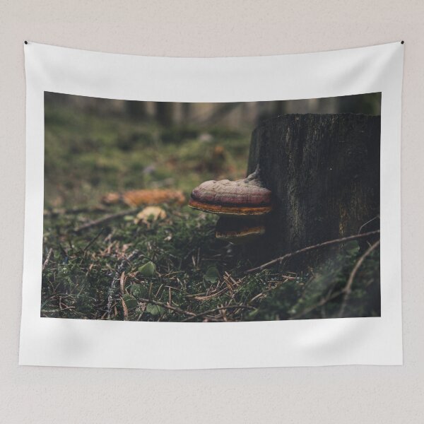 Item preview, Fungus on tree stump designed and sold by urbonasphotos.