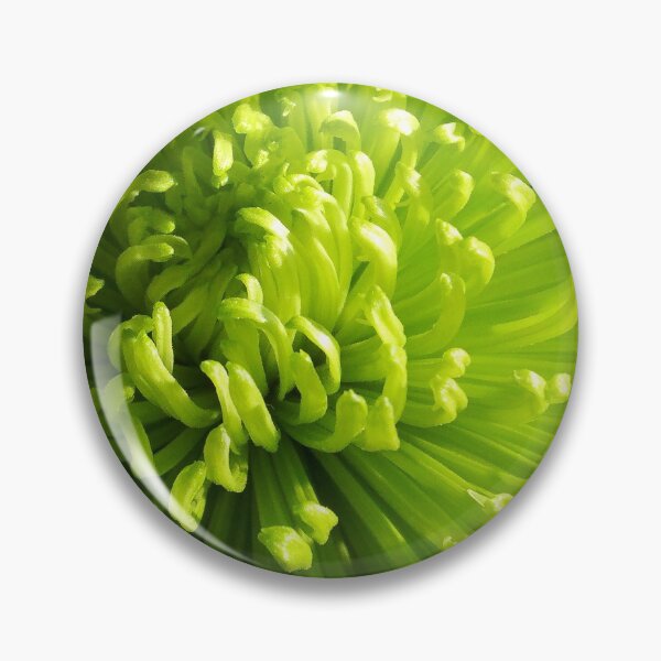 Item preview, The Green Mums designed and sold by Sherri's Stuff.