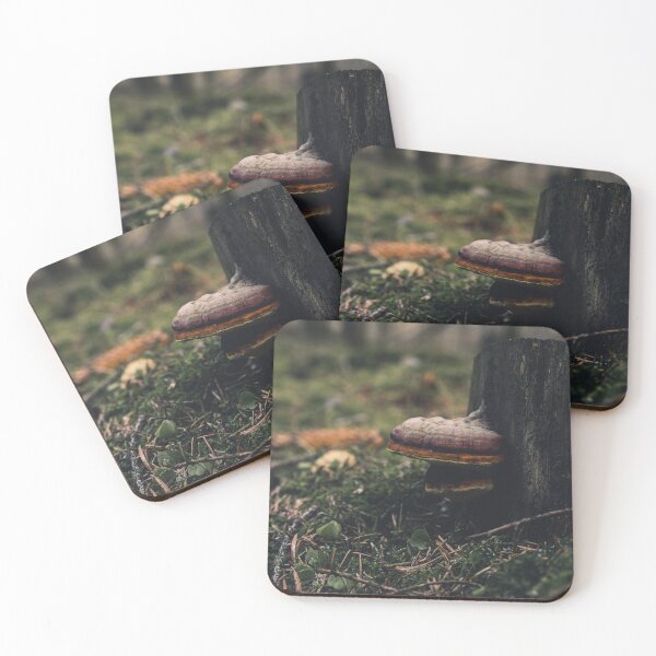 Item preview, Fungus on tree stump designed and sold by urbonasphotos.