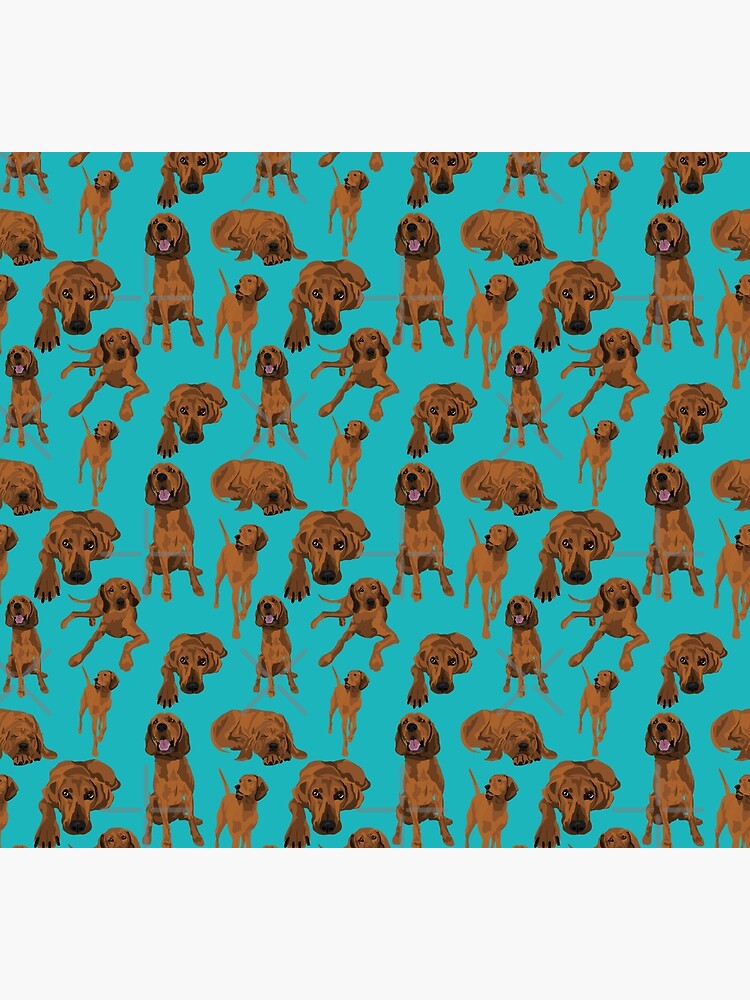 Redbone Coonhound on turquoise by ArtofACoonhound