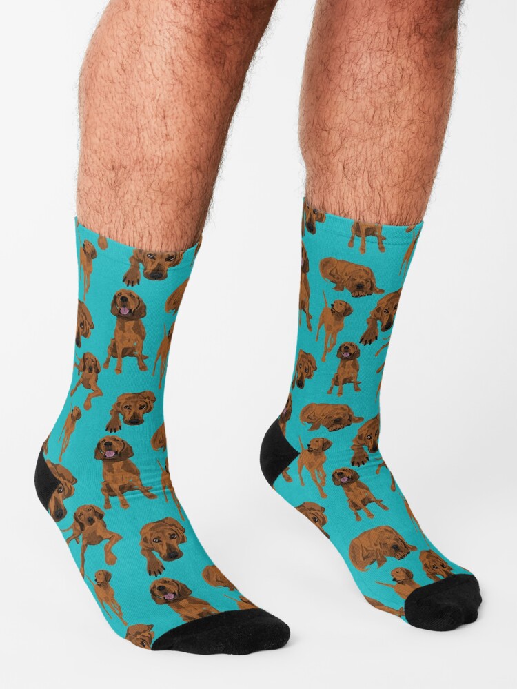 Alternate view of Redbone Coonhound on turquoise Socks