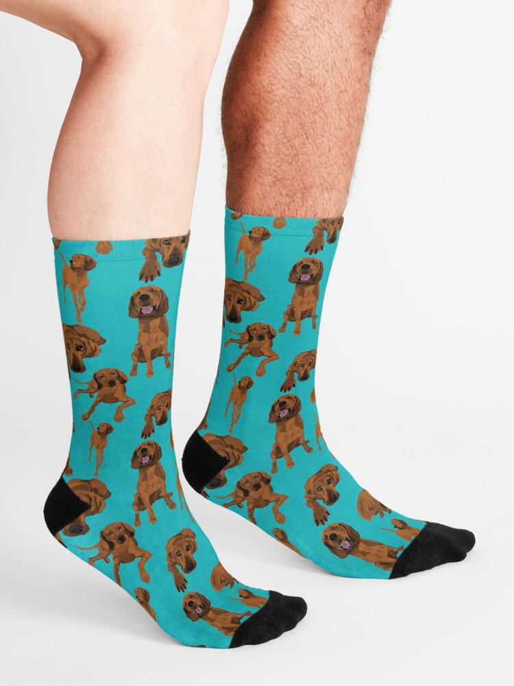 Alternate view of Redbone Coonhound on turquoise Socks