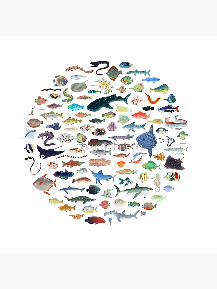 One Hundred Fish by tarynjohnson