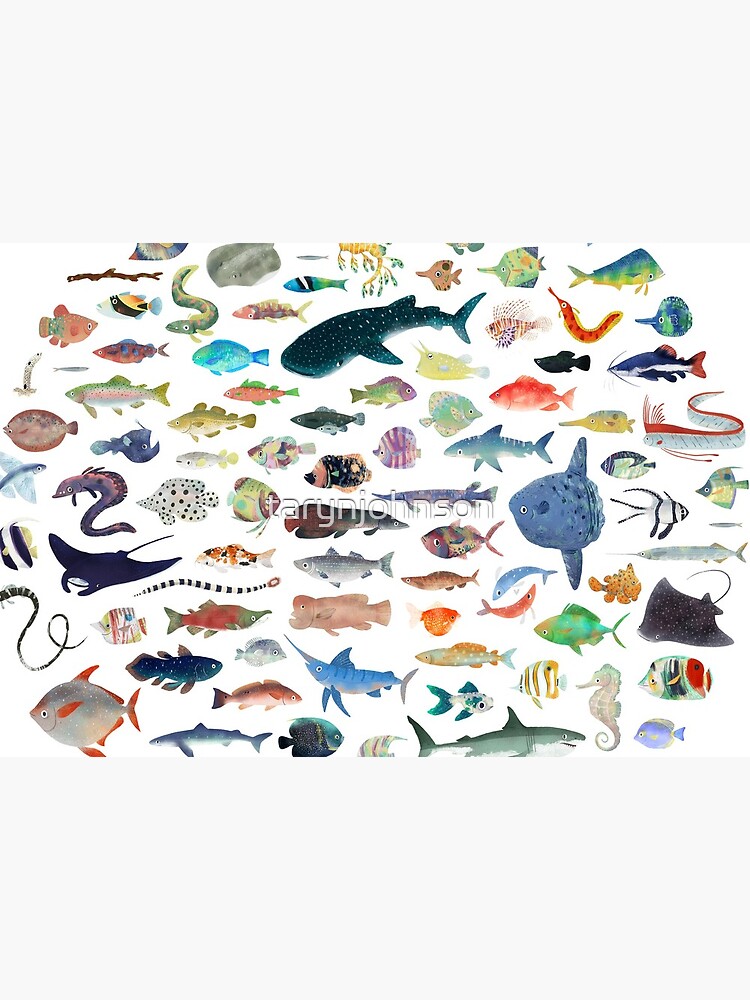 One Hundred Fish by tarynjohnson
