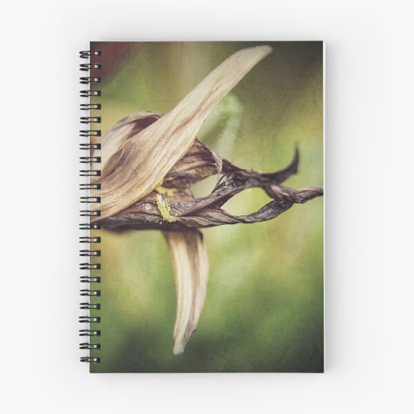 Item preview, Hemerocallis Flower designed and sold by hinomaru.