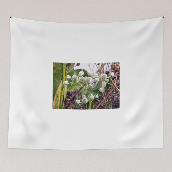 Item preview, Rattlesnake Master designed and sold by circa24.