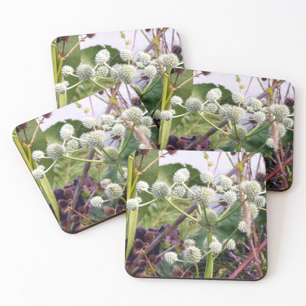 Item preview, Rattlesnake Master designed and sold by circa24.