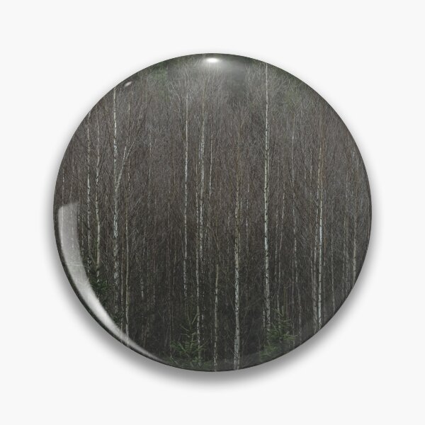 Item preview, Leafless birch trees designed and sold by urbonasphotos.