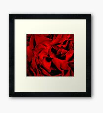 Garden flower Framed Print