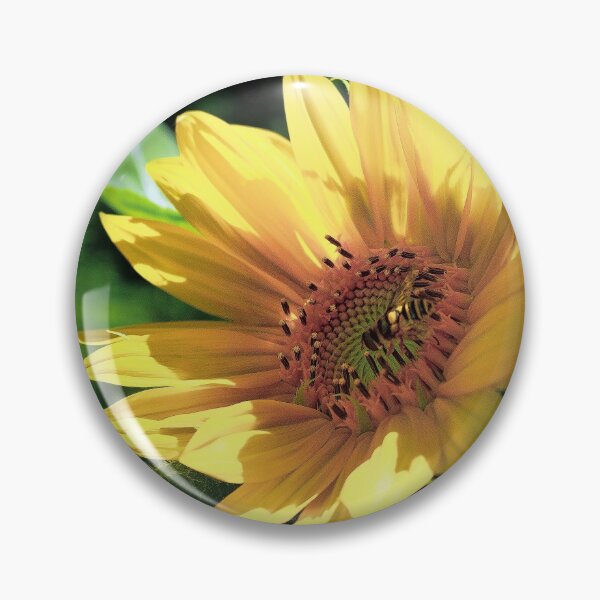 Item preview, Follow the Sun designed and sold by KPcaptures.